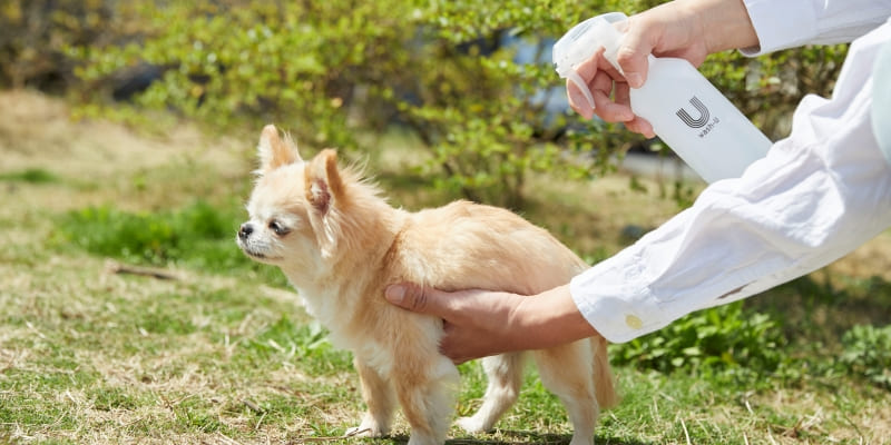 「wash-U」のここがスゴイ！■驚きの消臭力