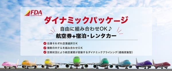 ＦＤＡダイナミックパッケージ