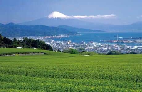 フジドリームエアラインズで行く！静岡への旅の画像